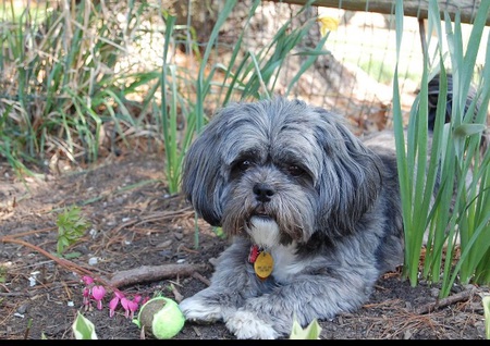 Entry image for Emma. Clicking this image will show a larger photo