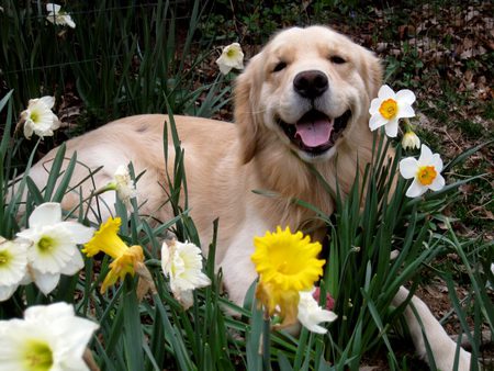 Entry image for Justin. Clicking this image will show a larger photo