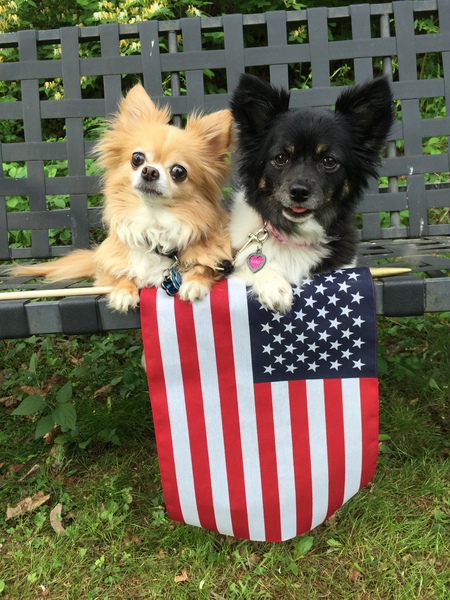 Entry image for Bailey and Karly. Clicking this image will show a larger photo