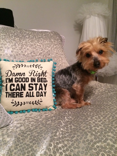 Entry image for Honey. Clicking this image will show a larger photo