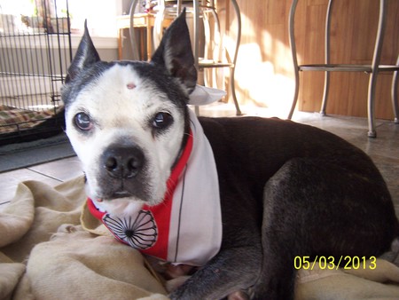 Entry image for Dez. Clicking this image will show a larger photo