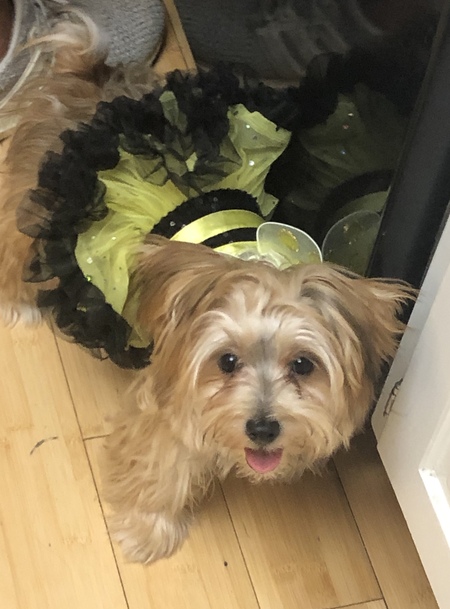 Zoe 