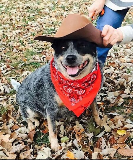 Trixie