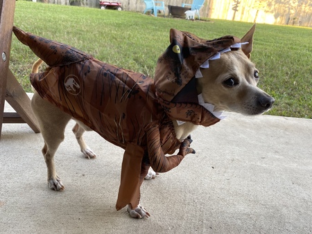 Chico the Dino 