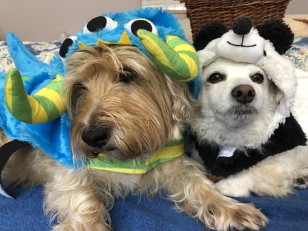 Ozzie & Puddin'