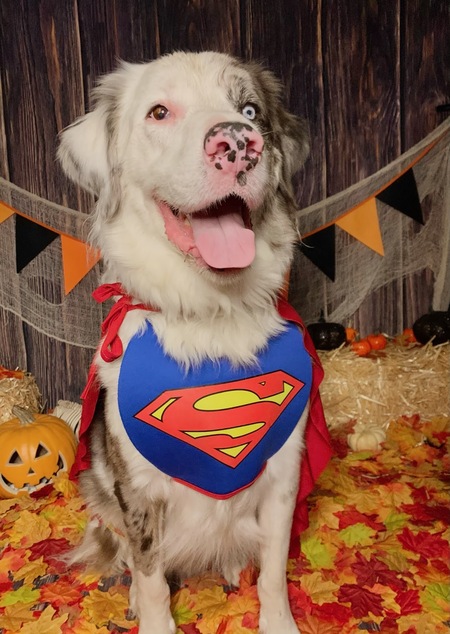 Emmitt - Superman!