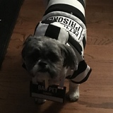 Entry image for Benny