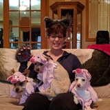 Entry image for Zoey  James Dean  Toby 