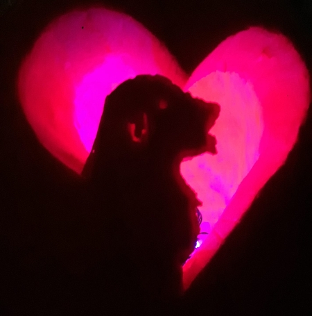 Entry image for Dude. Clicking this image will show a larger photo