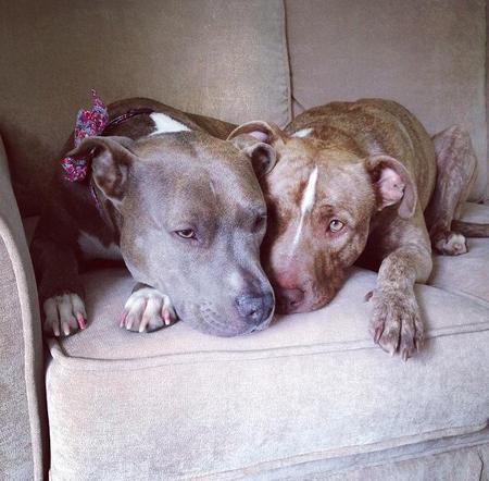 Benson and Nala