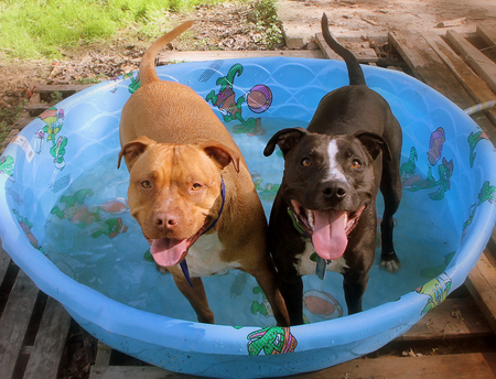 Buster Brown & Fletcher