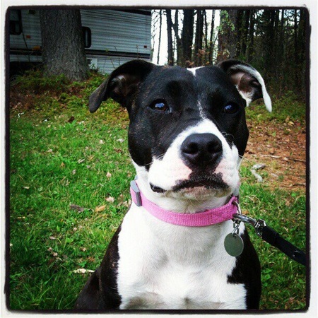 Addison