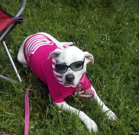 Rosie