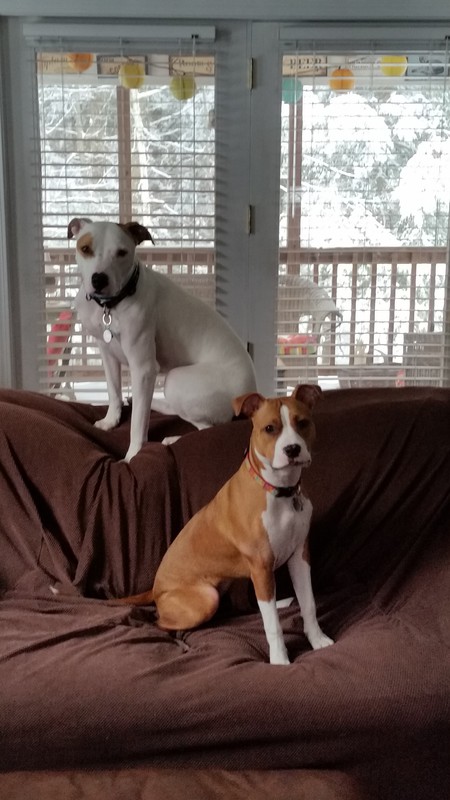 Petey and Ella
