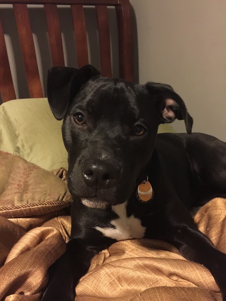 Roxy