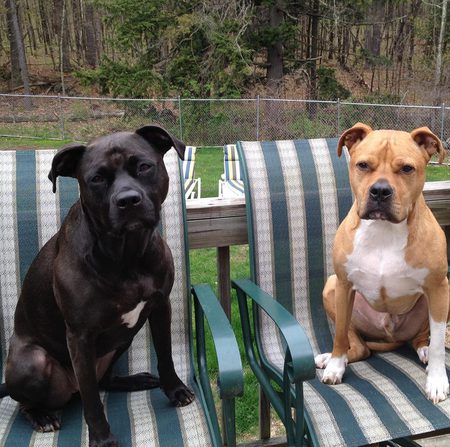 Champ & Kaylah