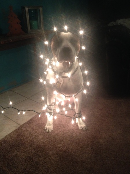 Duke