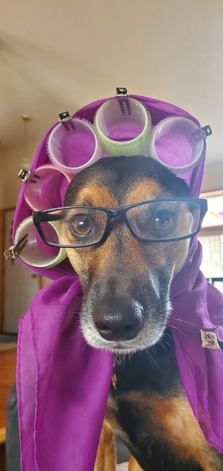 Dakota(koda)