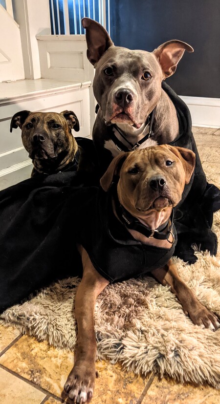 Hades, Persephone, and Melinoe (Gods of the Underworld)