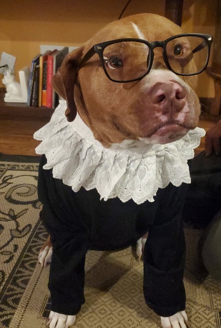 Truman