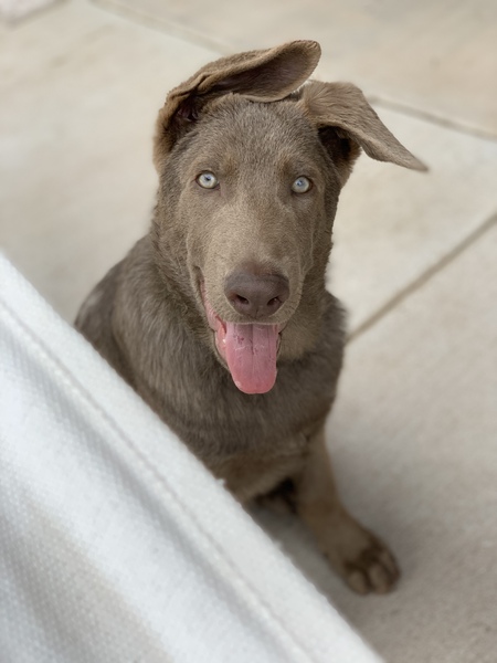 Axel