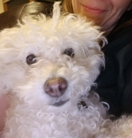 Lily 