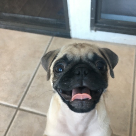 Murphy