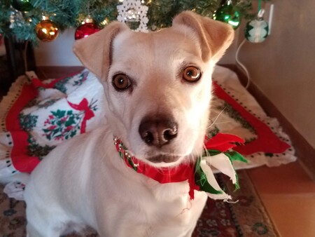Sadie