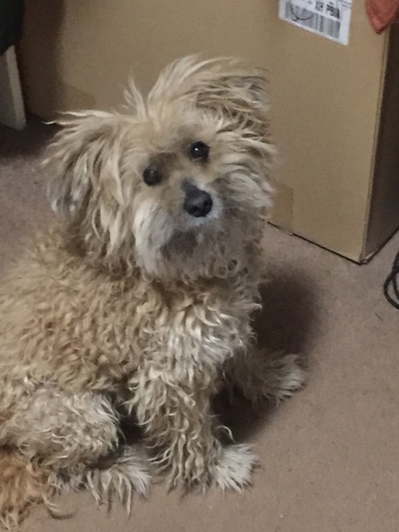 Wally