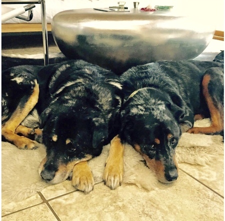 Max & Bigboy