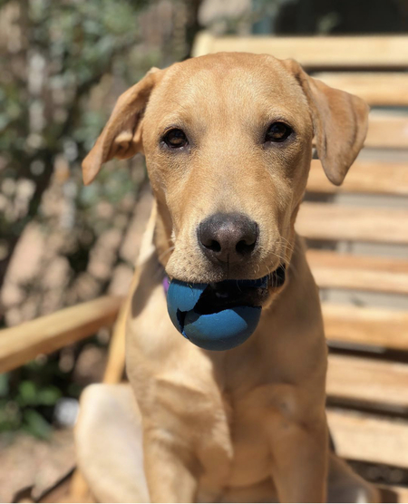 Charlie