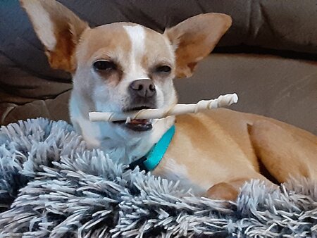 Rico Suave