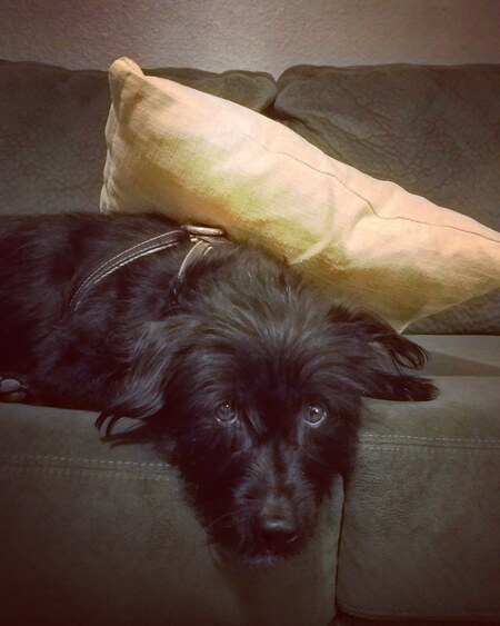 Max