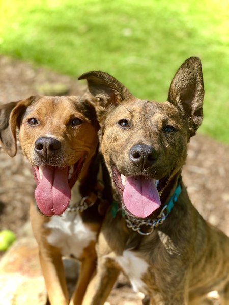 Delta & Ellie