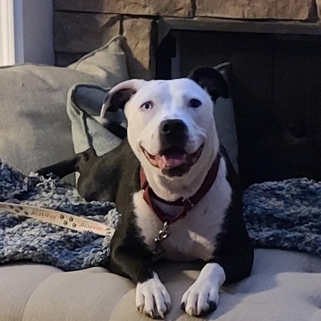 Chloe
