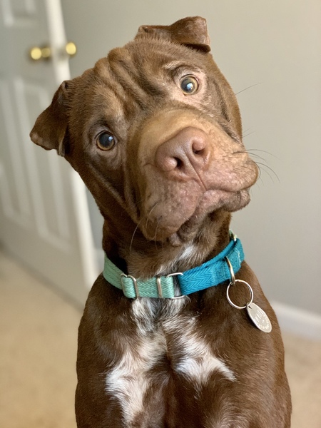 Monty