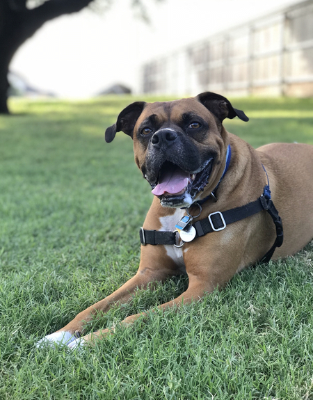 Porter