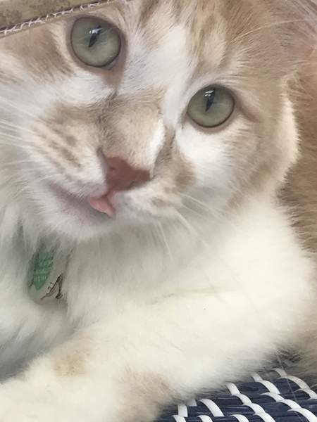 Morty (Mortimer Mortimer ) 