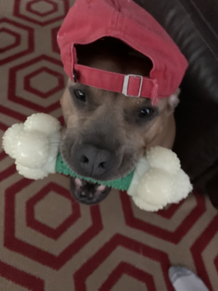 ROSIE.   Aka (Ella) Swanson 