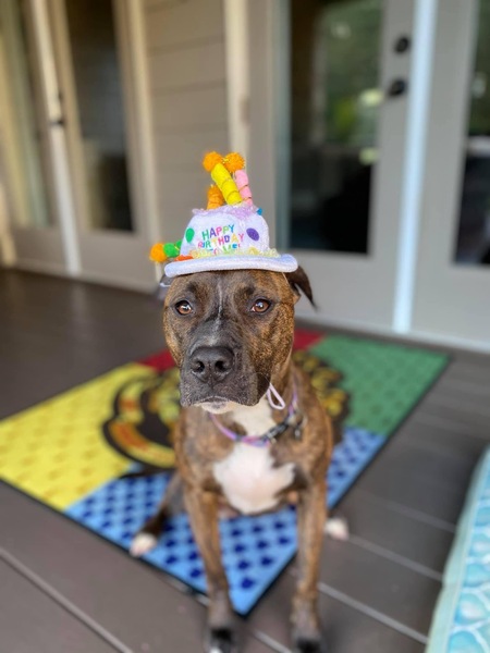 Luna Marie