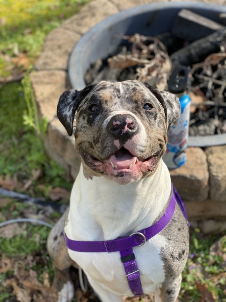 Jax