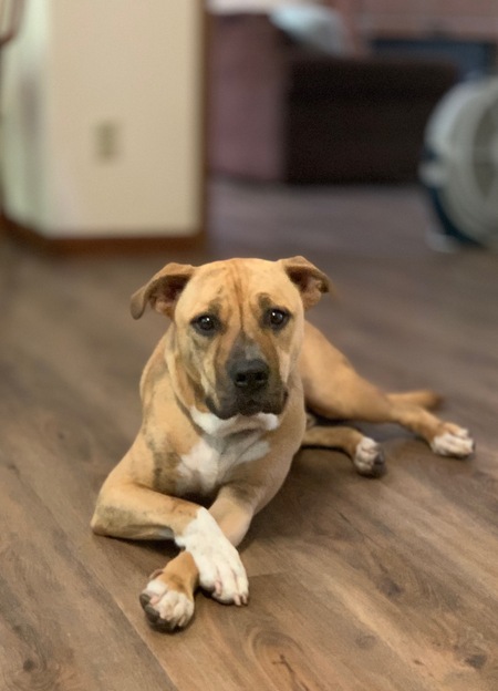 Jax