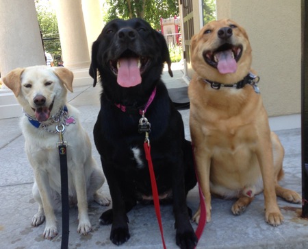 Breezy, Ebony and Ben