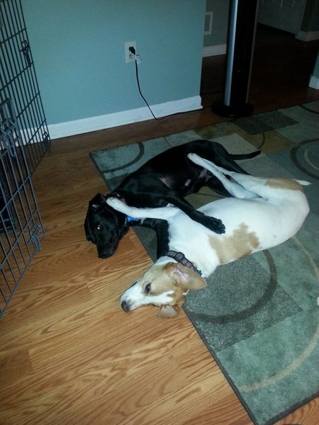 Ellie and Ernie