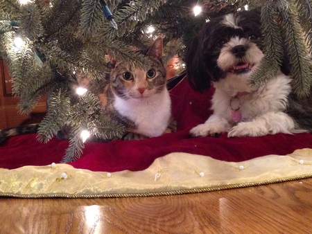 Lily and Rosie