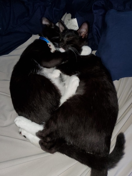 Binx & Becky 