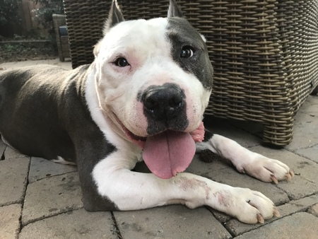 Gus