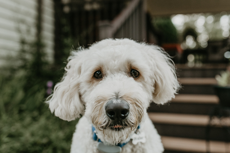 Walter
