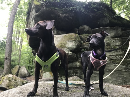 Charlotte and Gypsy 