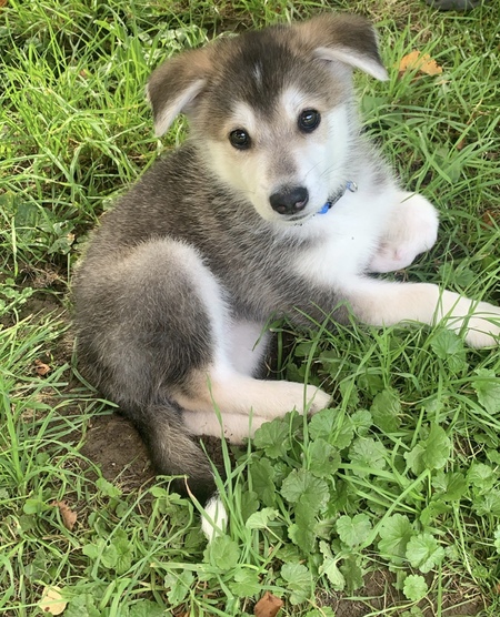 Paul